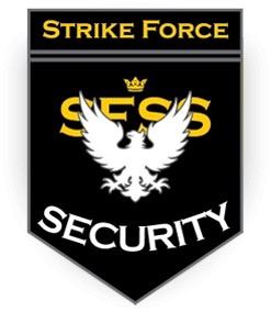 Strike Force Main Logo